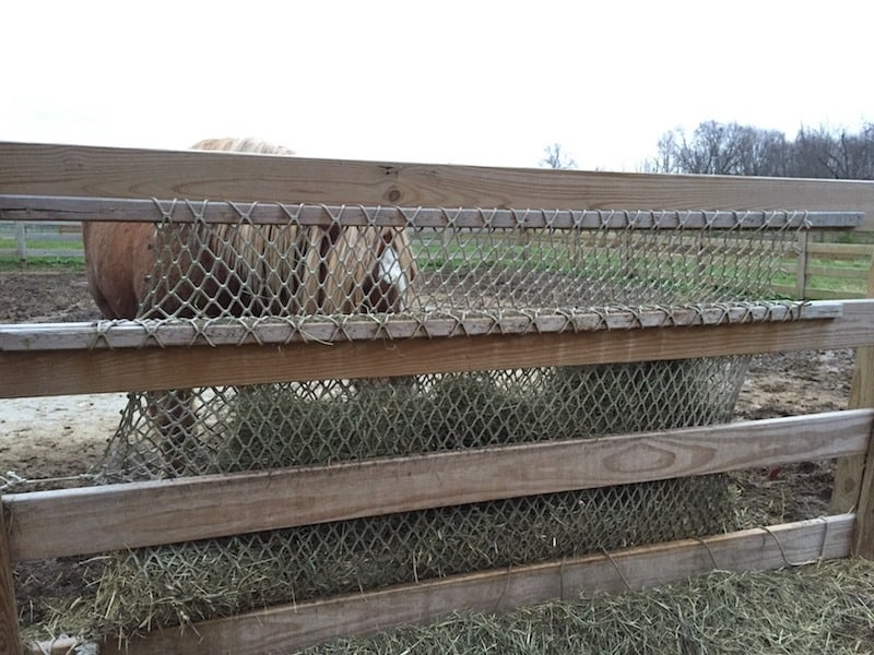 HayPal Portable Drop Down Feeder brings a horse's slow feeder program to  horse shows — HayPal Hay Nets, Feeders & Racks